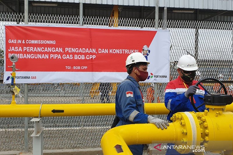 Riau Resources Watch Ungkap Dugaan BSP Ekspor Minyak Mentah ke Singapura